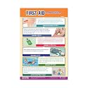 ESCAPER First Aid Educational Charts 11.5 x
