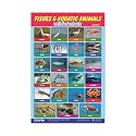 ESCAPER Fishes amp Aquatic Animals Educational Charts