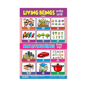 ESCAPER Living Beings Educational Charts for Kids
