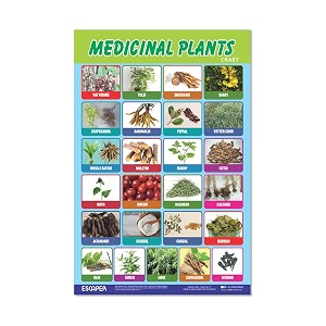 ESCAPER Medicinal Plants Educational Charts for Kids