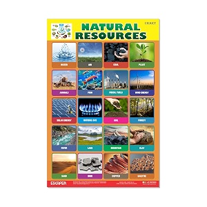ESCAPER Natural Resources Educational Charts for Kids