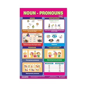 ESCAPER Noun-Pronoun Educational Learning Charts 11.5 x