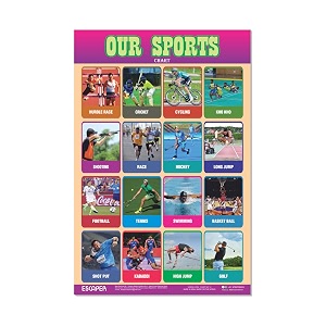 ESCAPER Our Sports Educational Charts 11.5 x