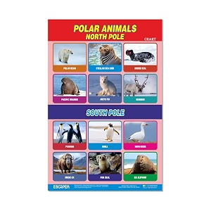 ESCAPER Polar Animals Educational Charts for Kids