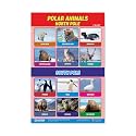 ESCAPER Polar Animals Educational Charts for Kids