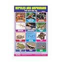 ESCAPER Reptiles Educational Charts for Kids Learning
