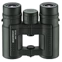 Eschenbach Optik 4251-132 Sektor D 10x 32 B Compact+ Binocular