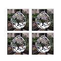 eshoppee Glass Sun Catcher Positive Energy Reiki Feng Shui Lamp Prism Rainbow Crystal Ball, 40 mm-4 Pieces