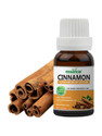 essancia Cinnamon Essential Oil For Hair Massage