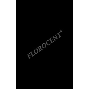 florocent neon fluorescent colored paper double-sided color 80 gsm 100 sheets black a4