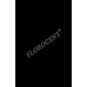FLOROCENT Neon Fluorescent Colored Paper, Double-Sided Color, 80 GSM, 100 Sheets, Black, A4
