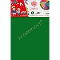 FLOROCENT™ Bright Neon Colored Unruled A4 Size Fluorescent Paper, Both Side Colour (80 GSM,100 SHEETS PACKING, SET OF 1 PACKET) For School &amp; Office Stationery, Home Art &amp; Craft (DARK GREEN)