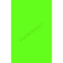FLOROCENT Premium Colour Paper, 80 GSM Coated Bright Finish, Pack of 100, Parrot Green, A4