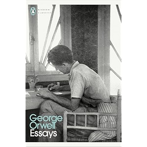 essays