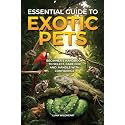 Essential Guide to Exotic Pets