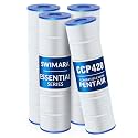 Essential Series for Pentair CCP420 Pool Filter Cartridges 420 sqft