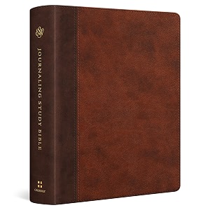 esv journaling study bible english standard version brownchestnut trutone timeless design