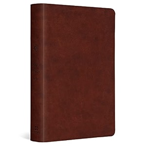 esv student study bible