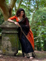 Ethical Pure Silk Self Design Blouse Material