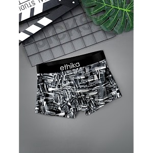 Ethika Mens Underwear Anti Bacterial Airsoft Trunk