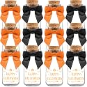 Ethisa Vintage 12 Pack Halloween Glass Jars with Ribbons and Stickers - Candy Party Favors for Trick or Treat - Halloween Party Favors and Table Centerpieces Decorations - Halloween Theme Potion Jars