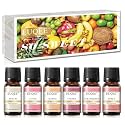 EUQEE 6PCS Premium Fruit Fragrance Oil Gift Set for Soap Making-So Sweet