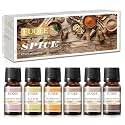 EUQEE 6PCS Spice Autumn Fragrance Oil Set, Scented Oils for Candle Making
