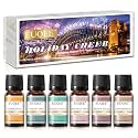EUQEE Holiday Cheer Premium Fragrance Oils Set for Diffuser (6x10ml)