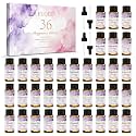 EUQEE Top 36 Scents Fragrance Oil Set for Diffuser for Home