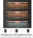 Eve Hanger Picture Light Wall Lamp With