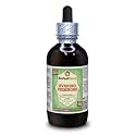 Evening Primrose (Oenothera Biennis) Glycerite, Dried Seeds Alcohol-Free Liquid Extract (Brand Name: HerbalTerra, Proudly Made in USA) 4 fl.oz (120 ml)