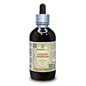Evening Primrose (Oenothera Biennis) Tincture, Dried Seeds Liquid Extract (Brand Name: HerbalTerra, Proudly Made in USA) 4 fl.oz (120 ml)