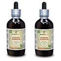 Evening Primrose (Oenothera Biennis) Tincture, Dried Seeds Liquid Extract (Brand Name: HerbalTerra) 2x4 fl.oz (2x120 ml)