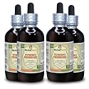 Evening Primrose (Oenothera Biennis) Tincture, Dried Seeds Liquid Extract (Brand Name: HerbalTerra) 4x4 fl.oz (4x120 ml)