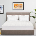 EVERDECOR Queen Size Fitted Terry Cotton Breathable, Stretchable, Waterproof Mattress Cover