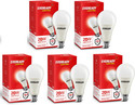 EVEREADY 20 W Basic Standard B22 LED