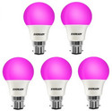 EVEREADY 9 W Basic Standard B22 LED