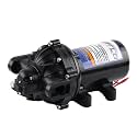 Everflo 12V On-Demand Diaphragm Sprayer Pump - 5.5GPM, 60 PSI, Quick Attach Ports