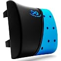 Everlasting Comfort Lumbar Support Pillow for Office Chair - Improves Posture, Promotes Back Pain Relief - Superior Back Support for Gaming and Desk Chairs - Lumbar Pillow for Car, Couch