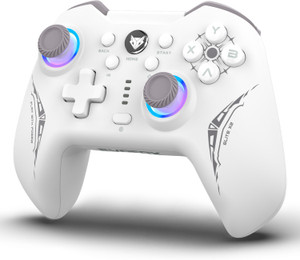 evofox elite x2 pc wireless  wired usb-c hallsense magnetic joysticks  triggers usb gamepad
