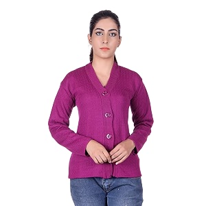ewools women39s wool v-neck sweater