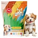 EXCITE BITES Combo Offer Natural Flavor Munchy Sticks for Dogs | Protein Chew Sticks for Dogs | Essentials Dog Treats for Adult &amp; Puppies | Dental Sticks for Dogs | Dog Chew Stick 1 kg (Pack of 2)