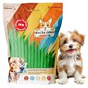 Excite Bites Natural Flavor Munchy Sticks - 1 kg (100 Pieces Dog Chews)