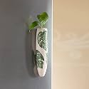 ExclusiveLane 'Mughal Heaven' Ceramic Handpainted Magnetic Planters Pot for Fridge Refrigerator Magnet Planter for Home &amp; Kitchen (Enamel White &amp; Green, 1.9 x 1.5 x 7.2 Inch, 1 Piece), (EL-021-221)