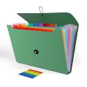 Expanding File Folder, Accordion File Organizer for Sorting Documents and Papers, 13 Pockets File Storage Organizer for Home, Travel and Office Use, Hospital Bag Essentials (Green)