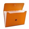 Nicfaec Expanding File Folder, 13 Pockets, Orange, Polypropylene for Work, School, Home, Office