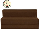 Expecting Smile 1 Seater Single Foam Fold Out Sofa Cum Bed