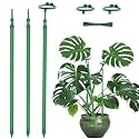 Extendable Monstera Plant Stakes, 3 Pack Plant Support Sticks with Clips
