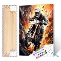 Extrem Sport Paint by Numbers Kits with Brushes Graffiti Street Art Acrylic Oil Painting for Adults Kids Mountain Motorcycle Racing Pictures Boho Arts Craft Farmhouse Decor Motocross Gift(DIY Frame)