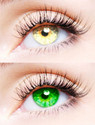 EYCOG Monthly Disposable (0, Colored Contact Lenses, Pack of 2)